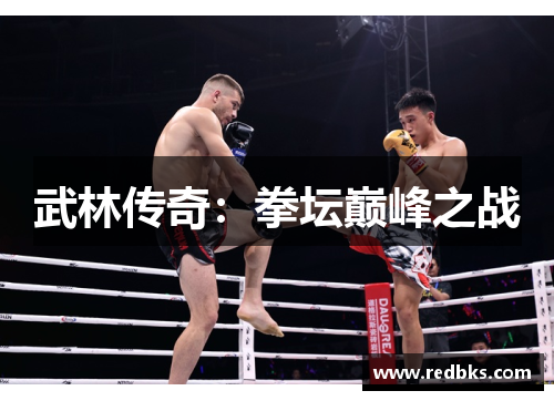 武林传奇：拳坛巅峰之战